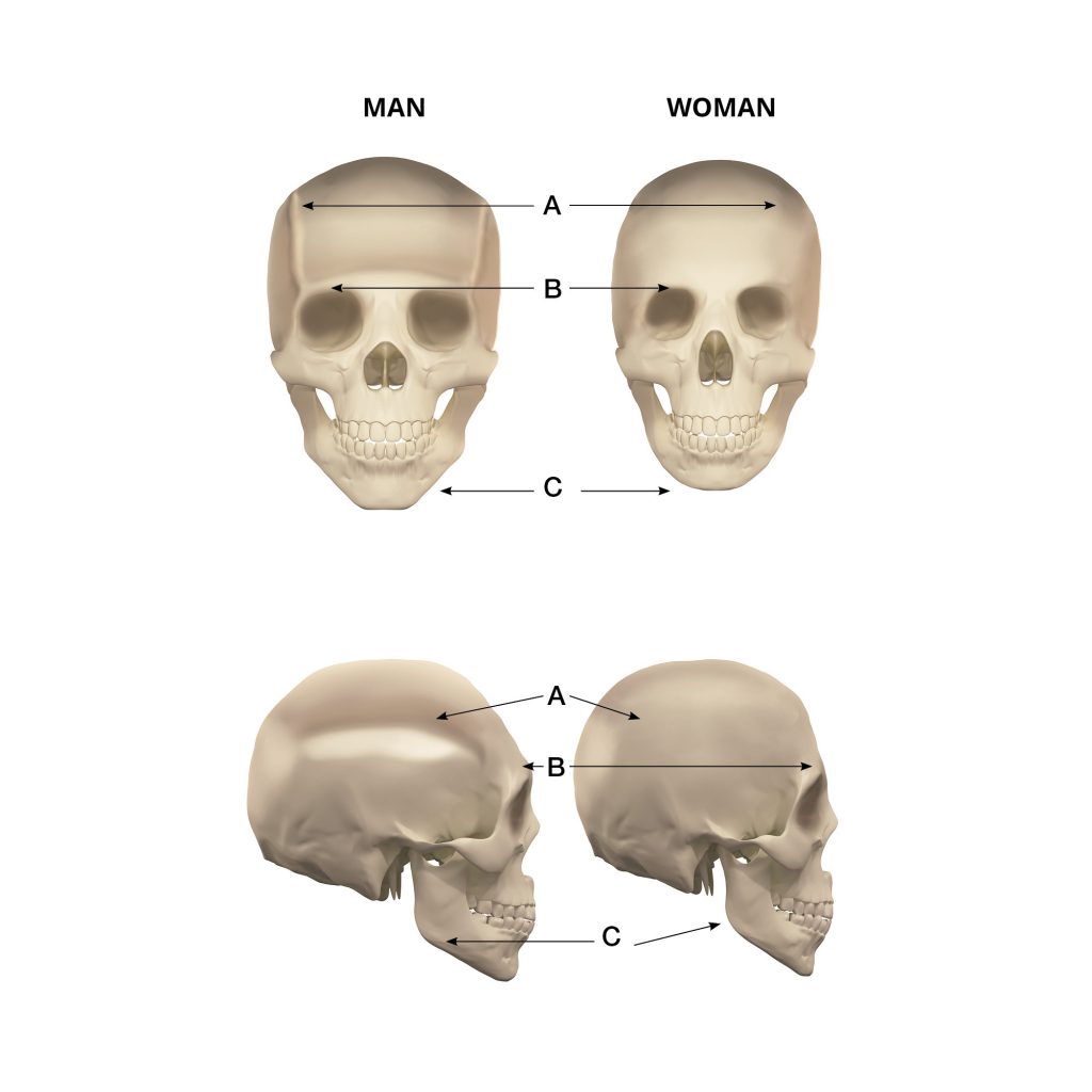 Facial Feminization Surgery | MTF Facial Surgery | IM GENDER